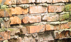 mur